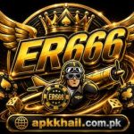 ER666 Game
