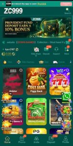 ZC999 Game